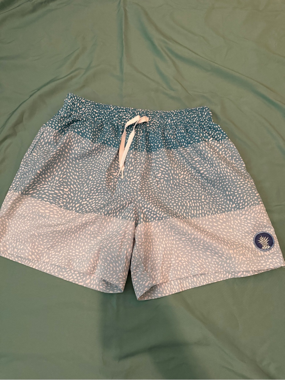 Men's Chubbies 5.5 in swim